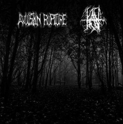 Avulsion Rupture : Avulsion Rupture - Kav